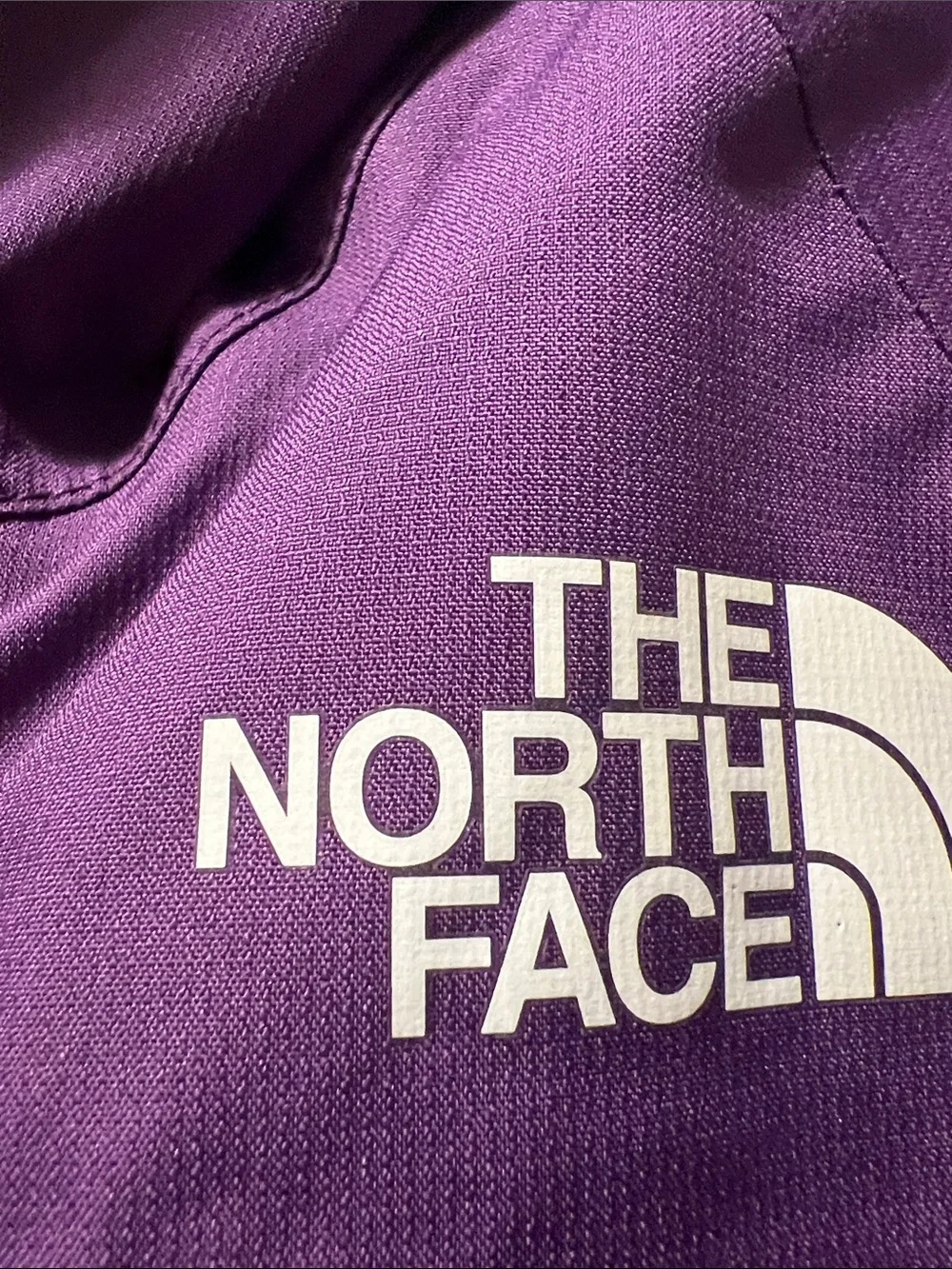 The North Face Purple and Magenta Waterproof Hooded Jacket